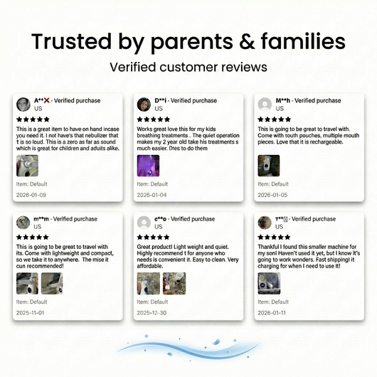 Havenley SmartMist | V4.0 Chip